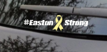 Easton Strong Decal