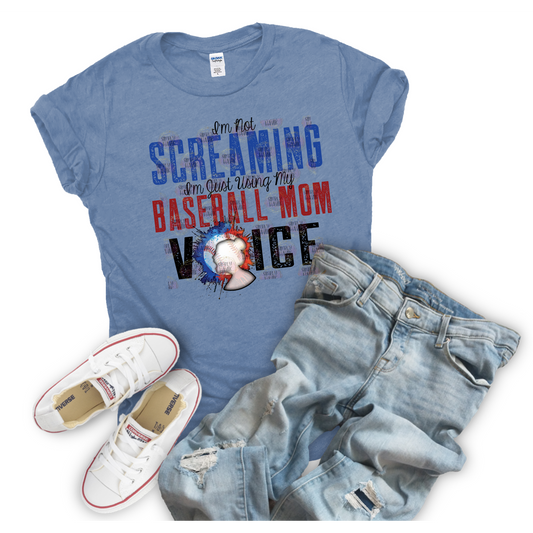 Baseball Voice