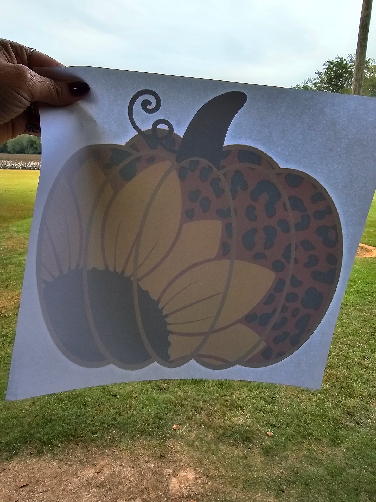 Sunflower Pumpkin