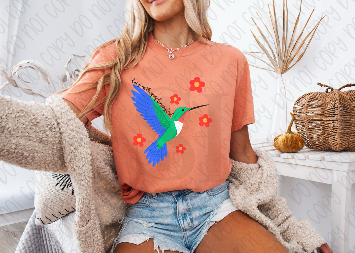 Cute Hummingbird